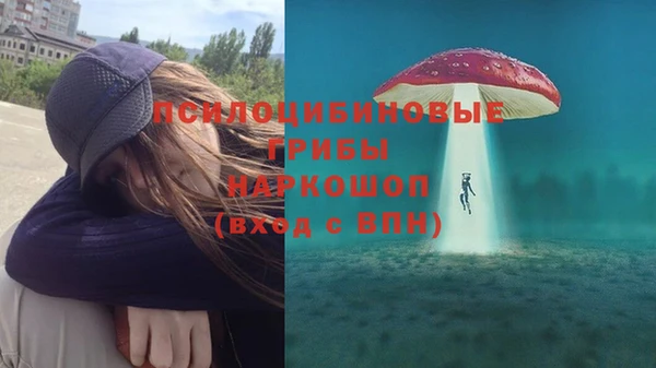 не бодяженный Алзамай